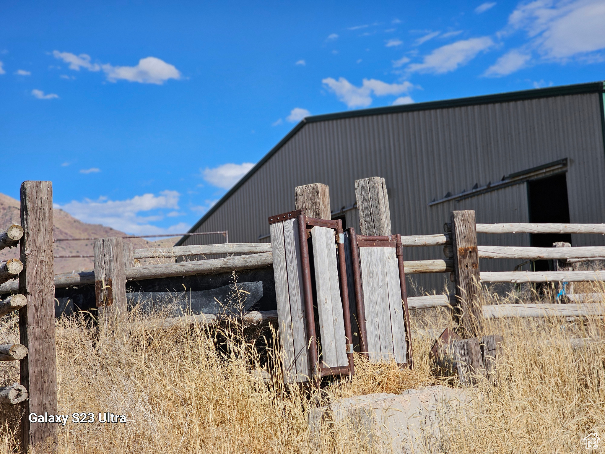 Cattle loading ramp