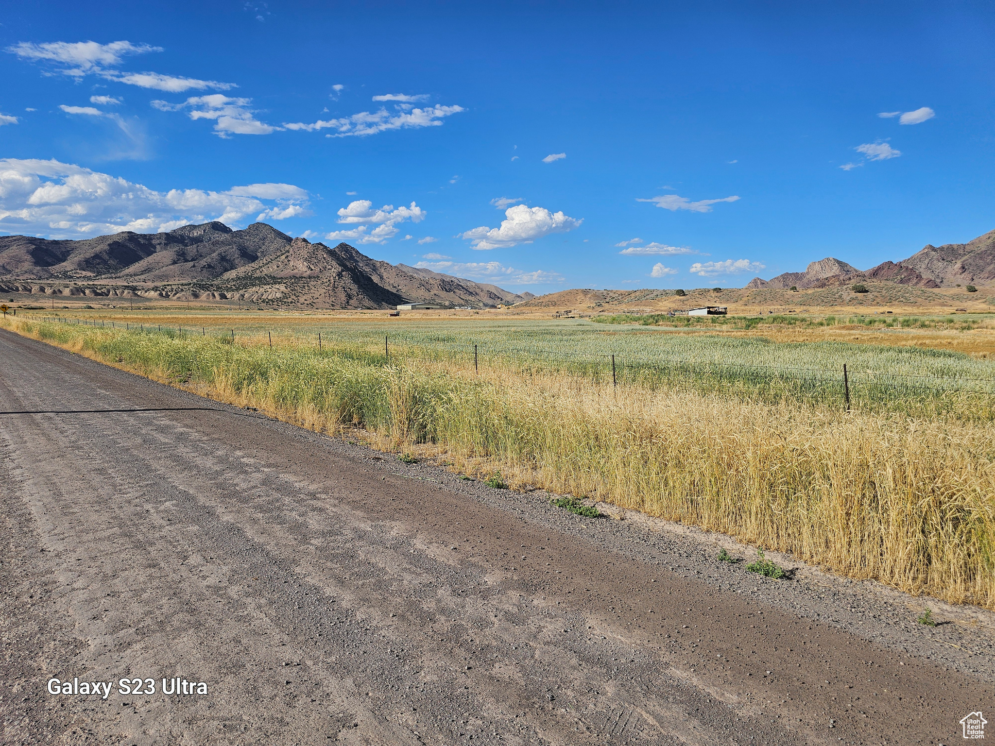 Going North/East looking over the South  40 Acres..