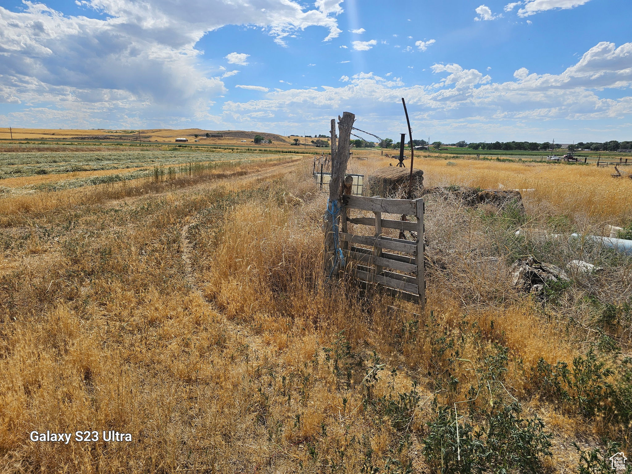 Corner looking West over South 40 Acres