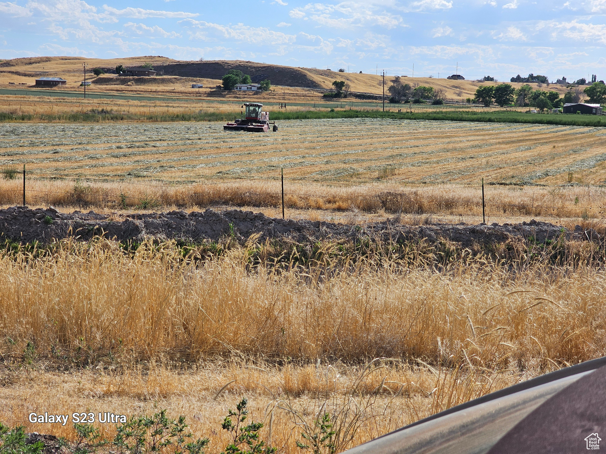 View looking over canal & North 40 Acres