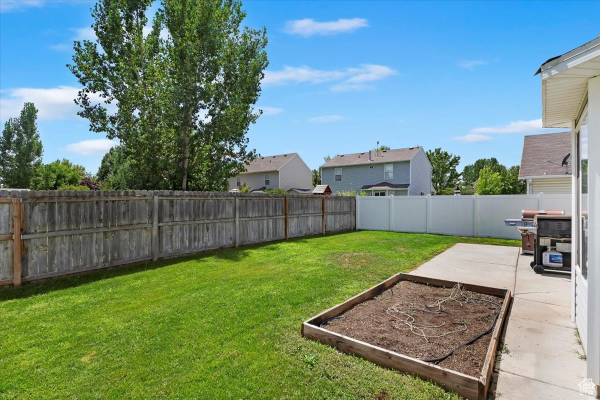 View of yard featuring a patio area