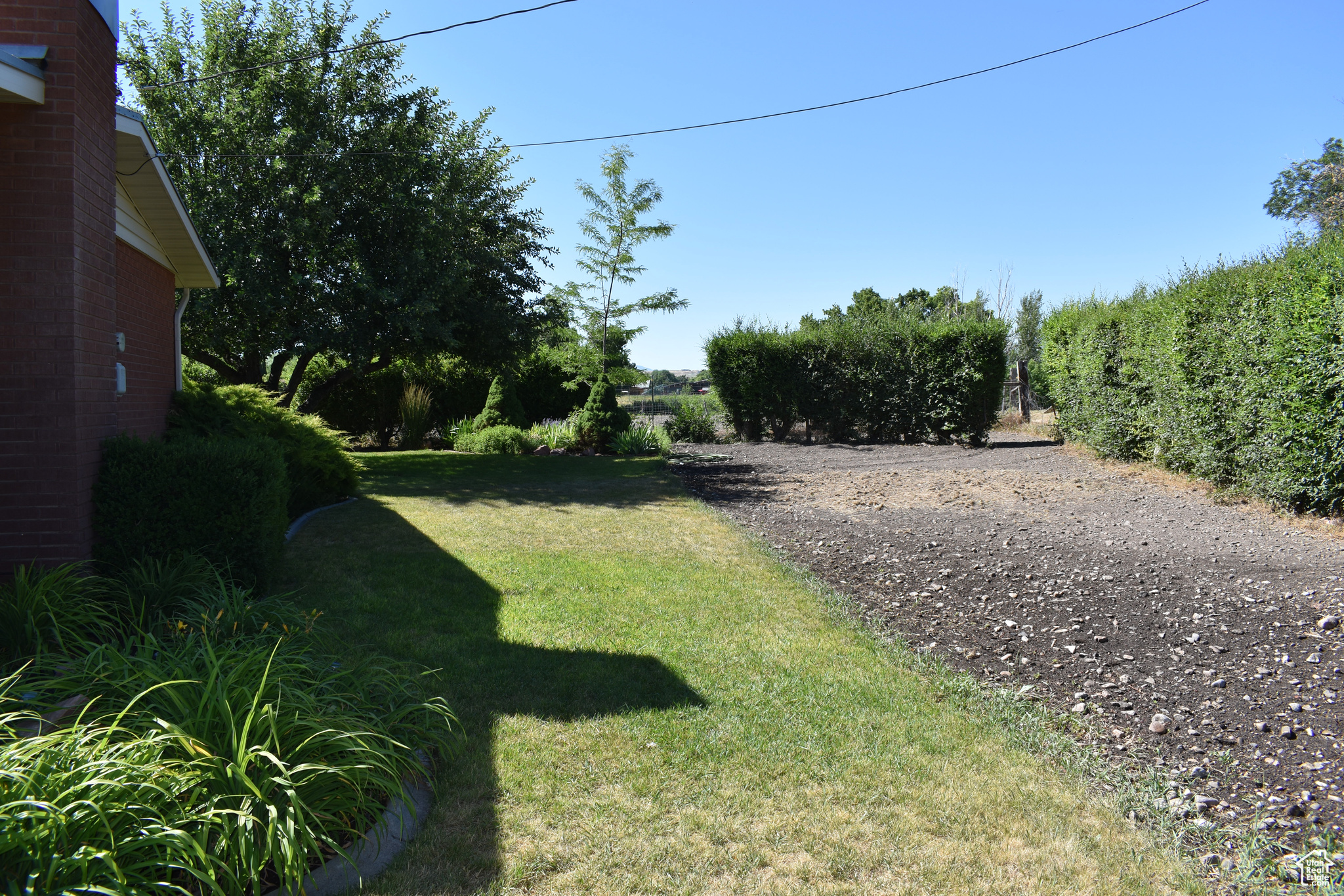 View of side yard with garden spot