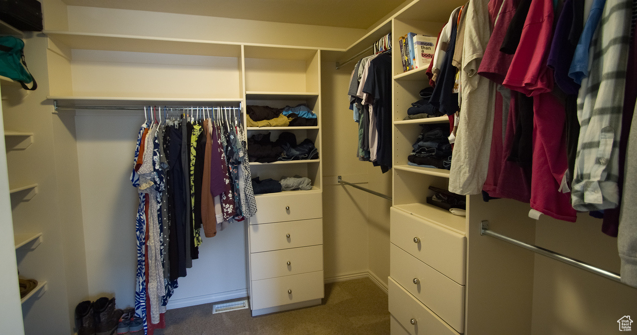 Primary Bedroom walk in closet featuring carpet