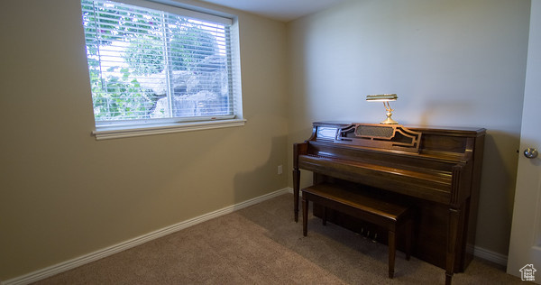 Misc room featuring carpet flooring and a healthy amount of sunlight