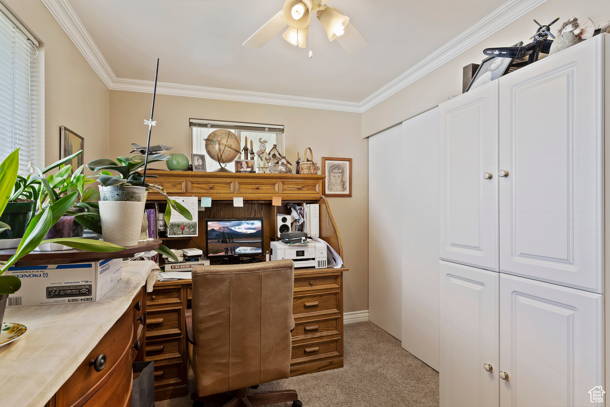 Carpeted office with ceiling fan and ornamental molding