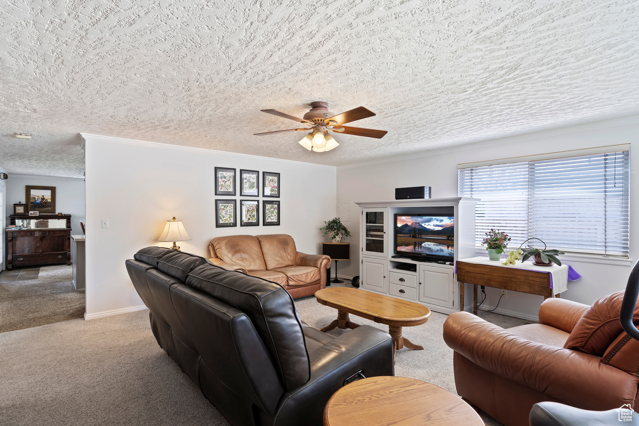 Carpeted living room with ceiling fan and a textured ceiling