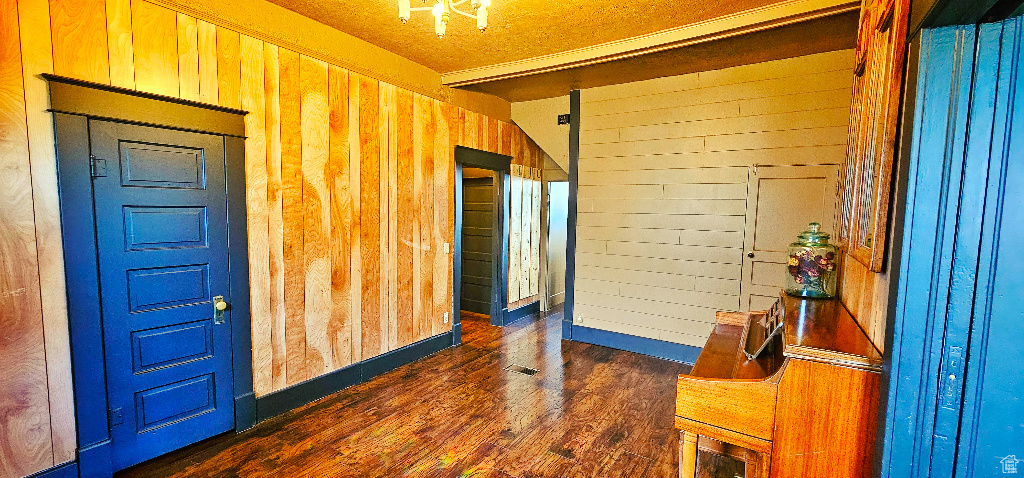 Entryway featuring dark wood-type flooring and wood walls