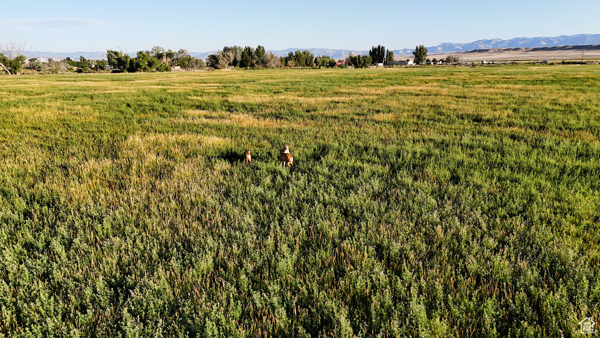 7250 S HANLEY, Price, Utah 84501, ,Land,For sale,HANLEY,2016808