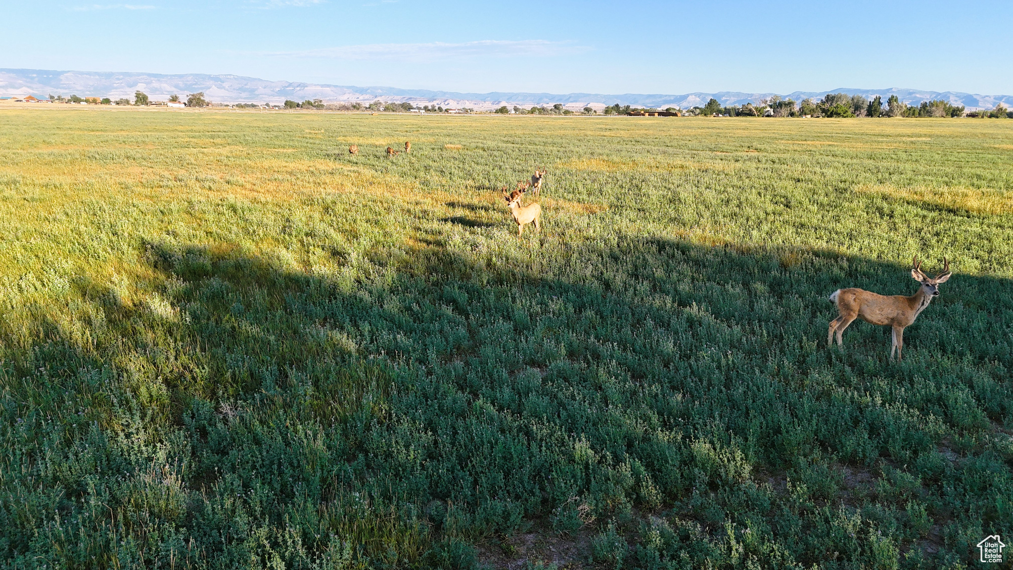 7250 S HANLEY, Price, Utah 84501, ,Land,For sale,HANLEY,2016808