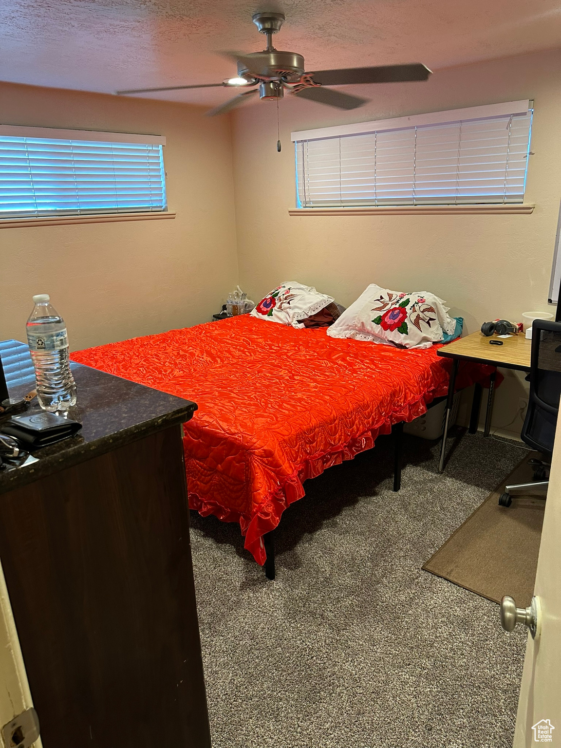 Primary bedroom featuring brand new carpet, ceiling fan, can lighting