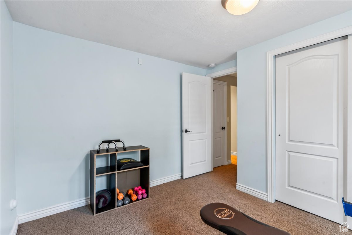 Interior space featuring carpet floors