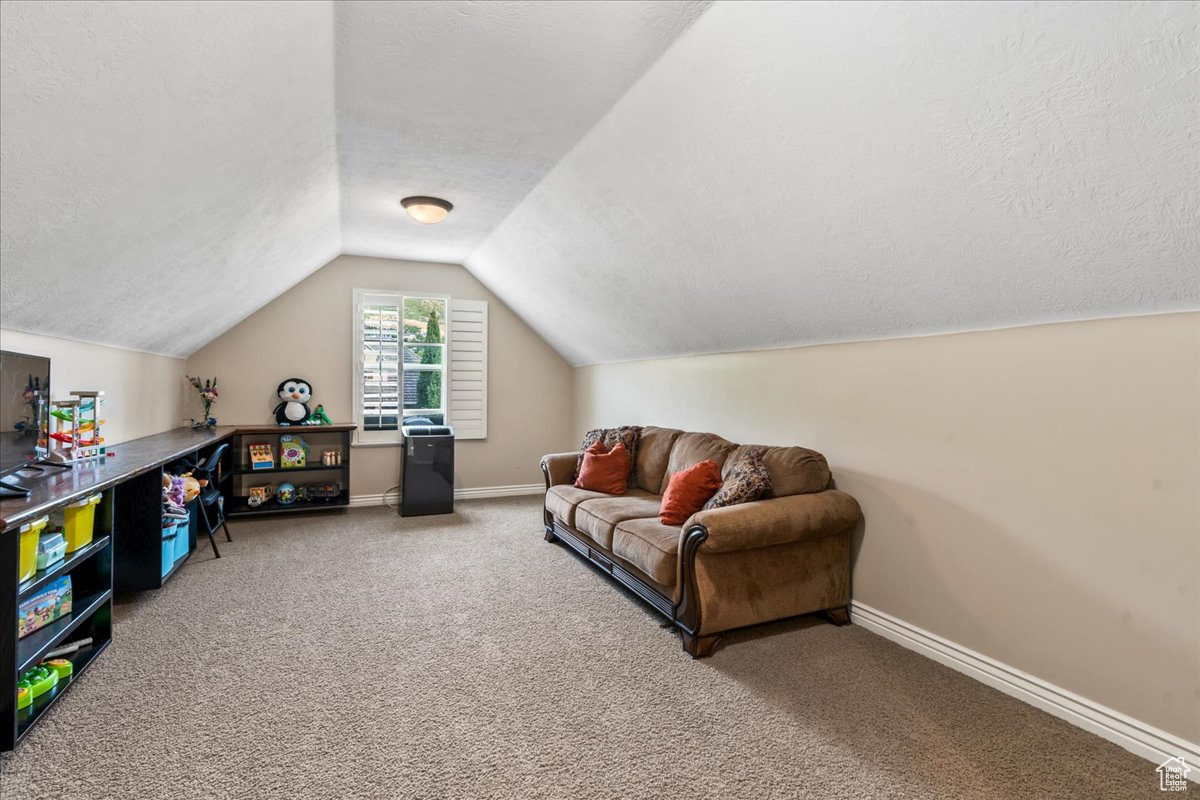 Living area featuring lofted ceiling, carpet flooring, and a textured ceiling