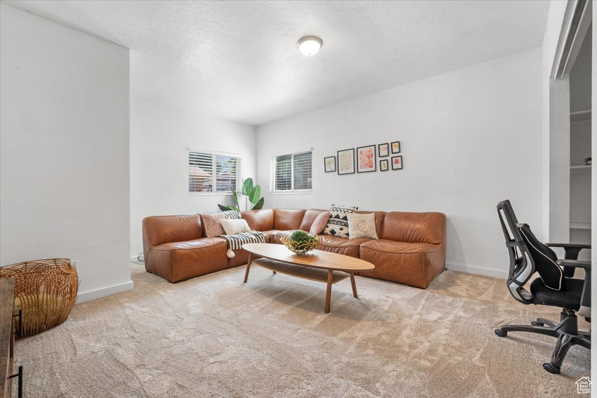 Living room with light colored carpet