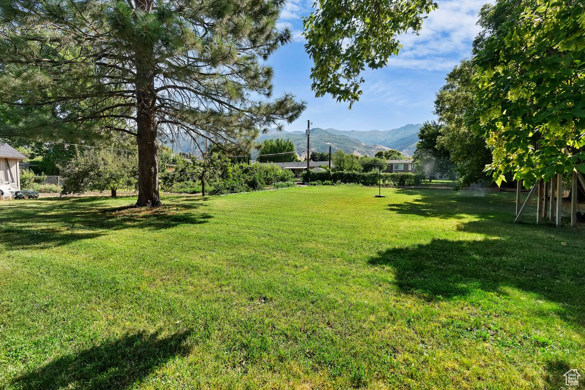 View of yard with a mountain view