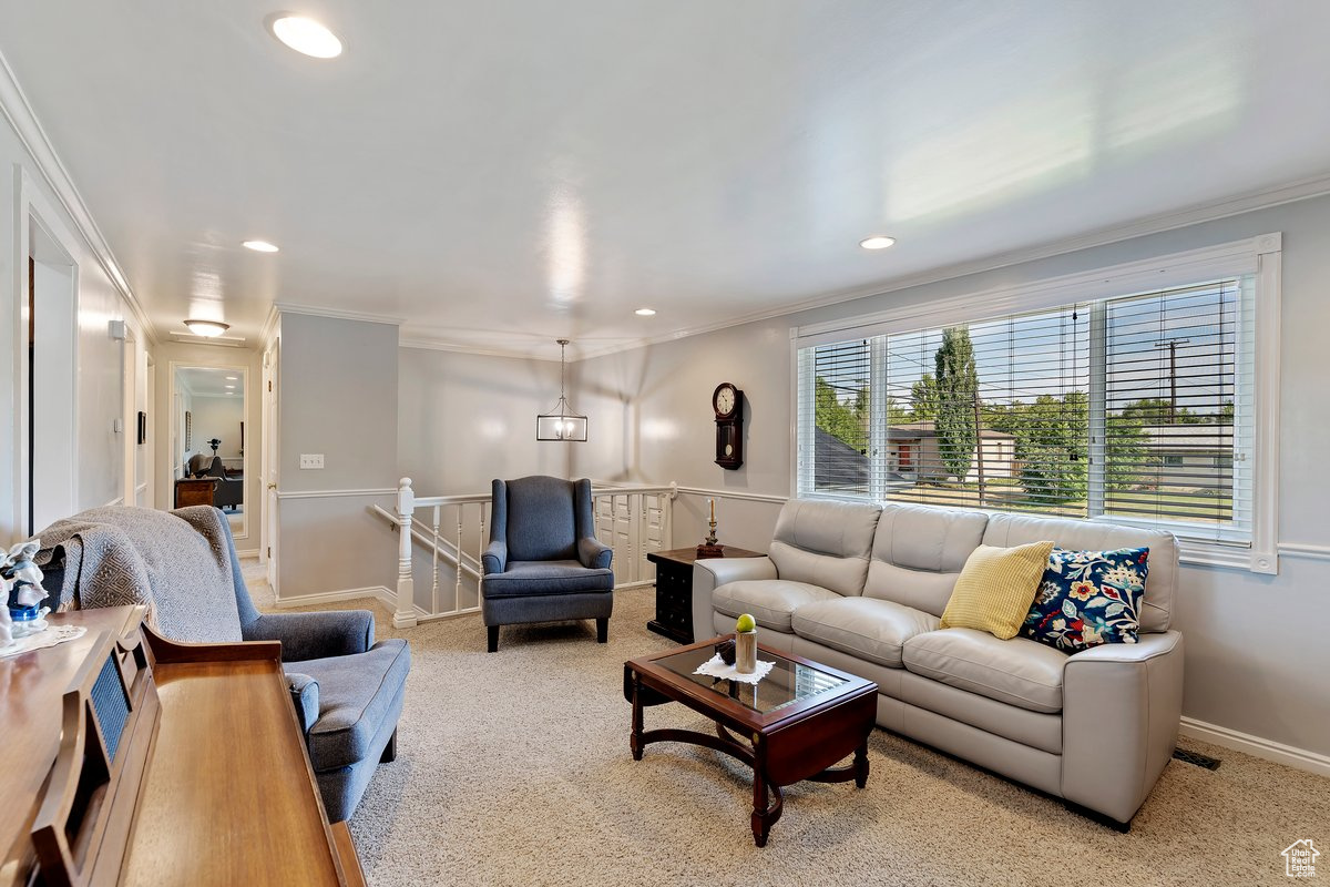 Living room featuring ornamental molding and light colored carpet