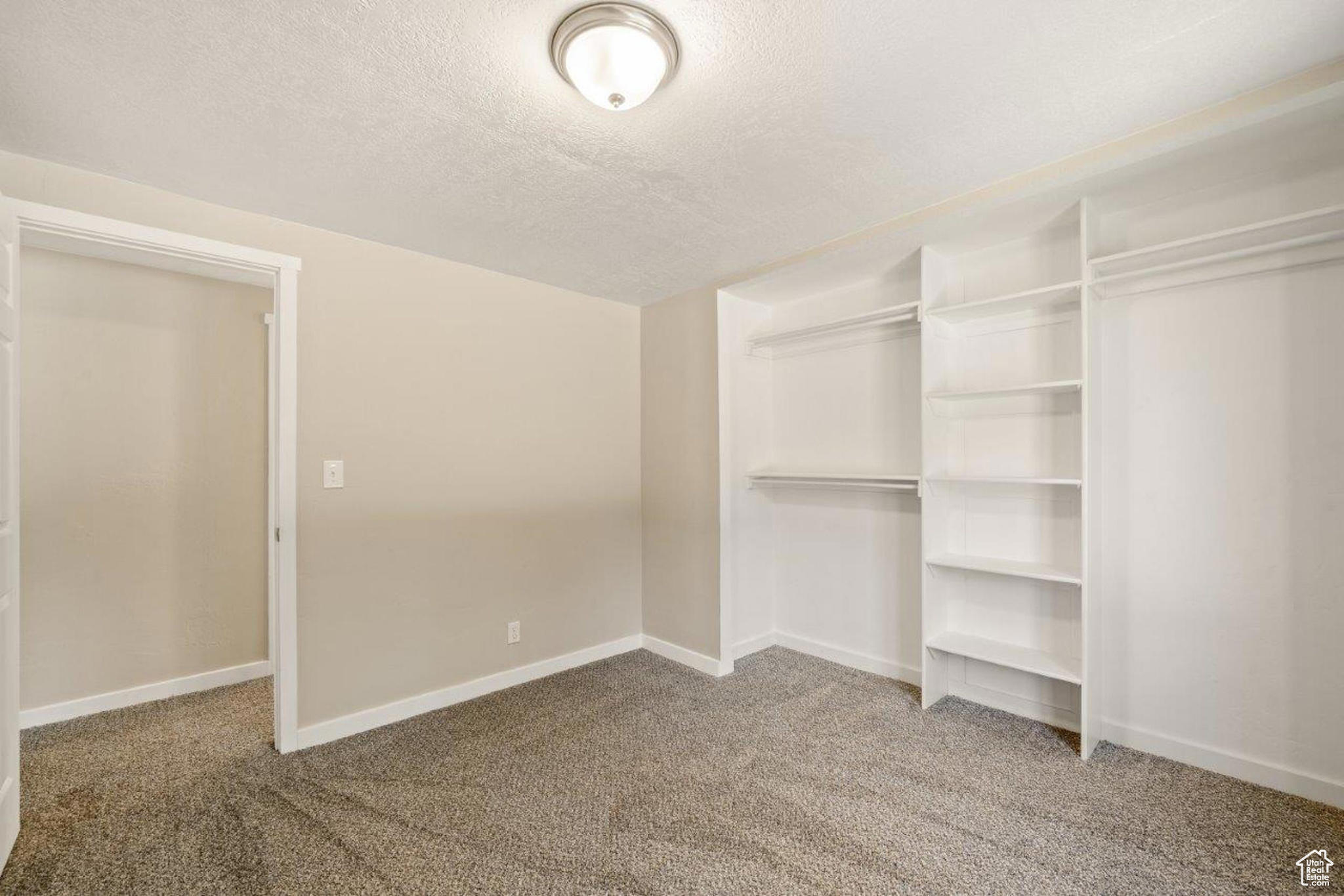 Walk in closet featuring carpet floors