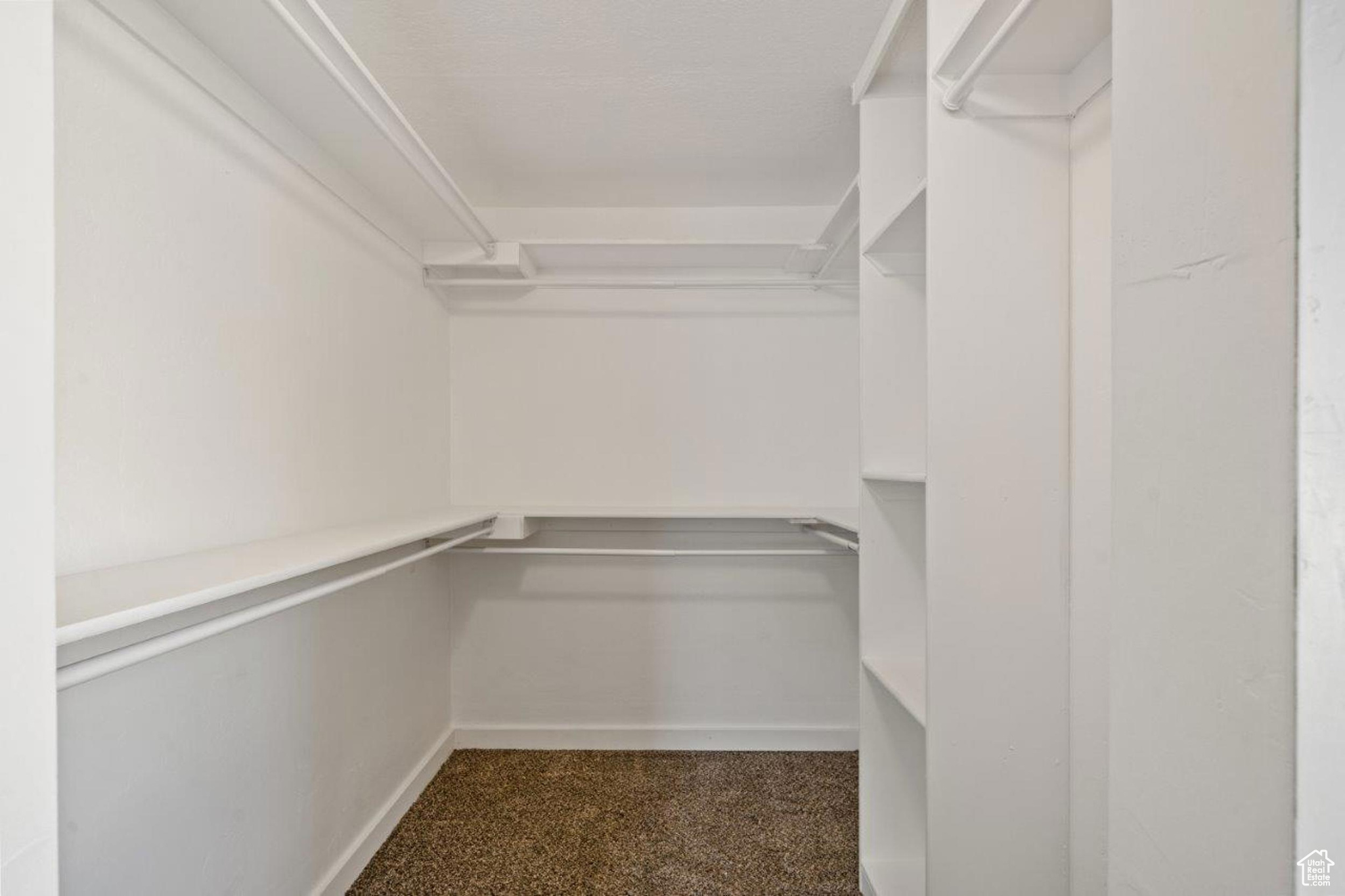 Walk in closet with carpet flooring