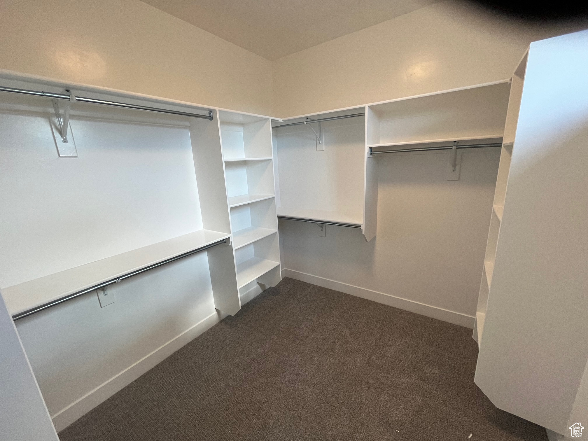 Spacious closet featuring dark carpet