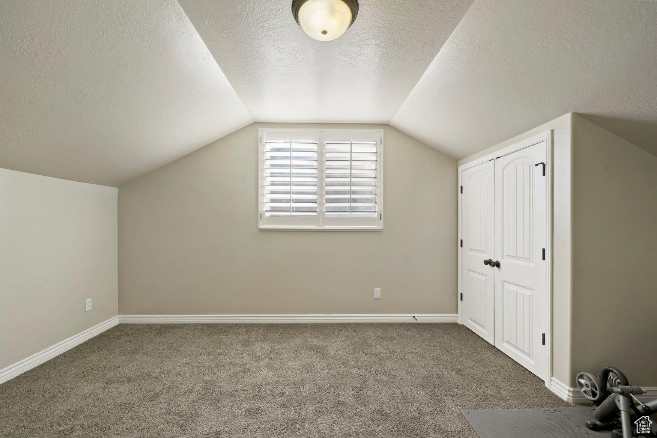 Bonus room featuring a textured ceiling, vaulted ceiling, and carpet