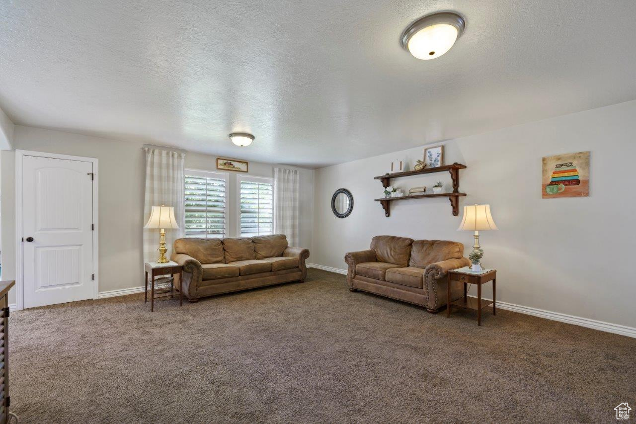 Living room with carpet and a textured ceiling