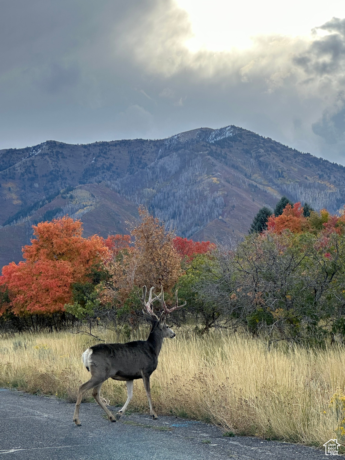 pictures from fall time