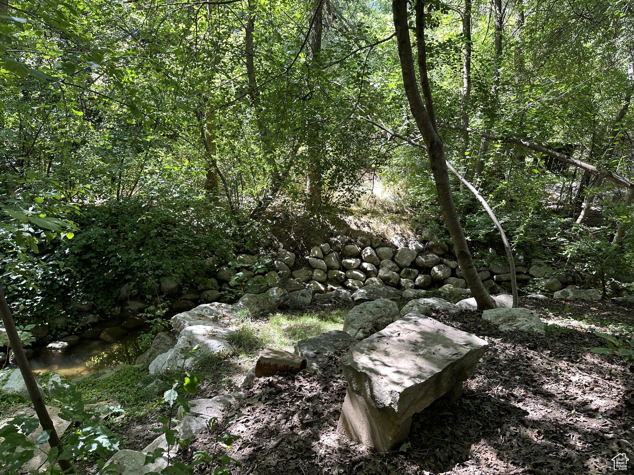 View of local wilderness featuring a water view