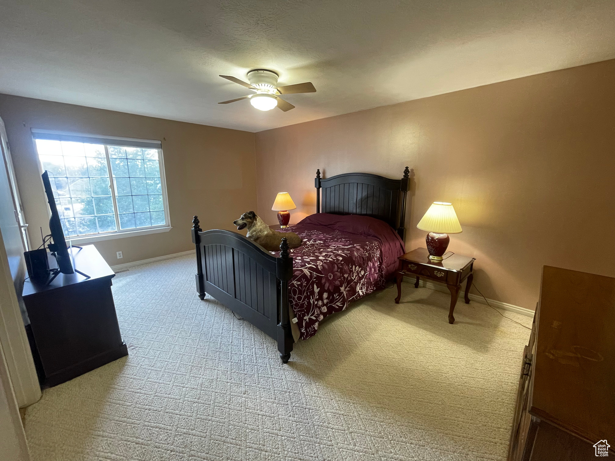 Owners Suite with Bathroom Access and Walk-in Closet.