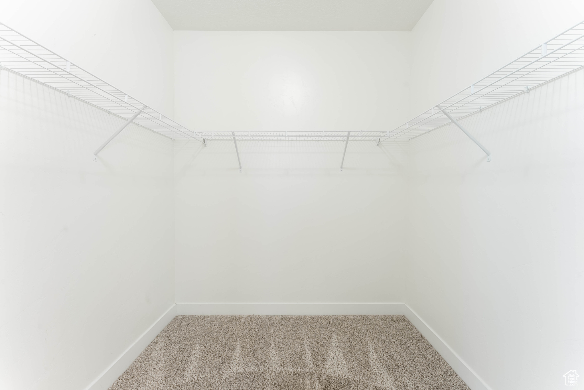 Spacious closet featuring carpet