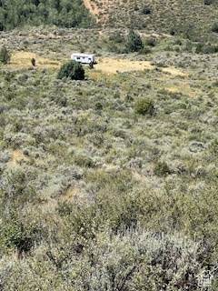 Looking West from the back of the property