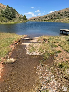 Creek leading spawning beds