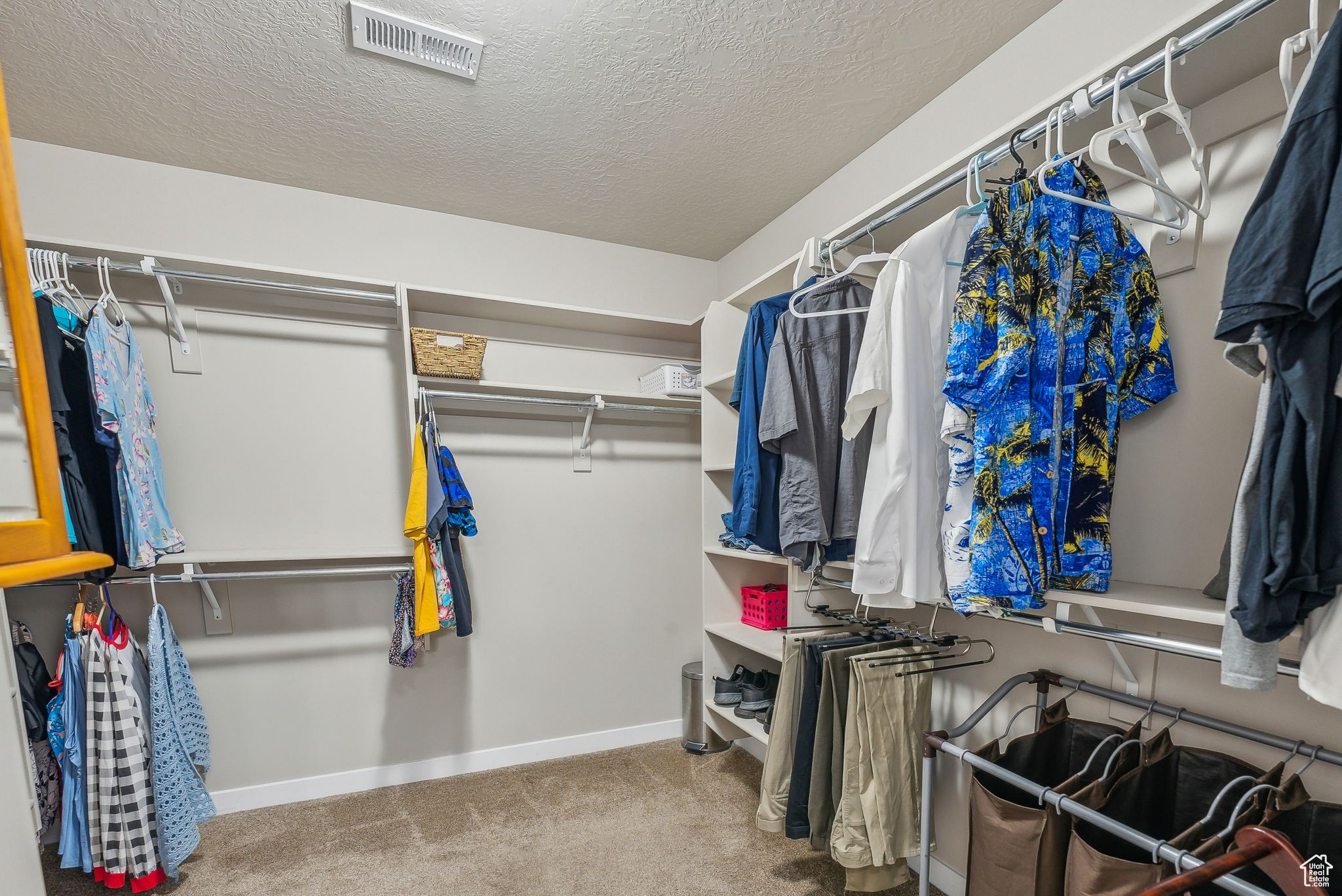 Walk in closet with carpet floors