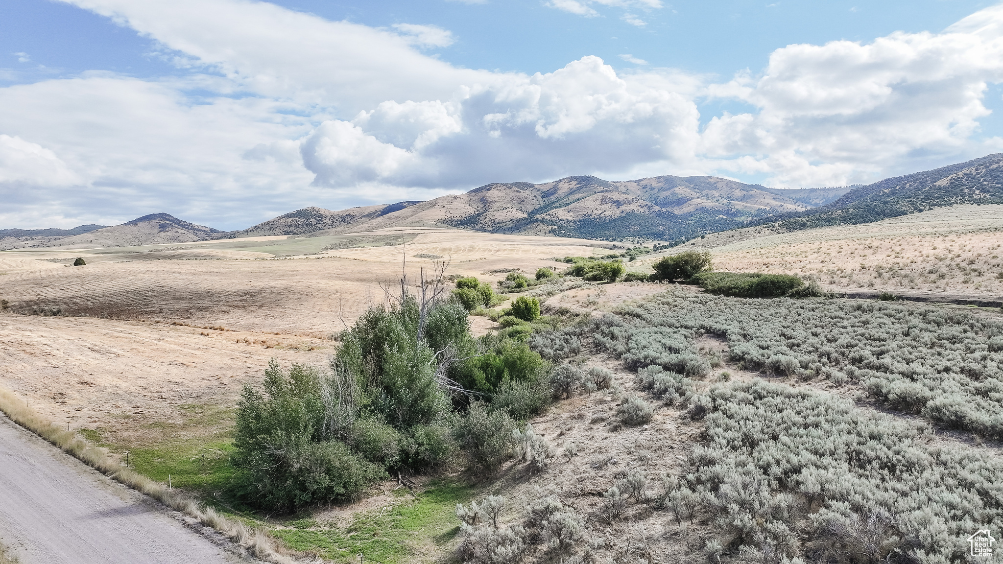 21506 S RACE TRACK, Downey, Idaho 83234, ,Farm,For sale,RACE TRACK,2019934