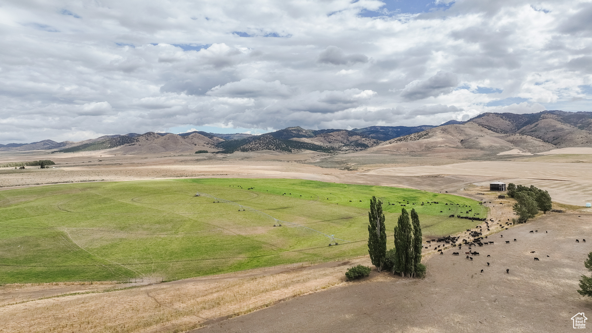 21506 S RACE TRACK, Downey, Idaho 83234, ,Farm,For sale,RACE TRACK,2019934