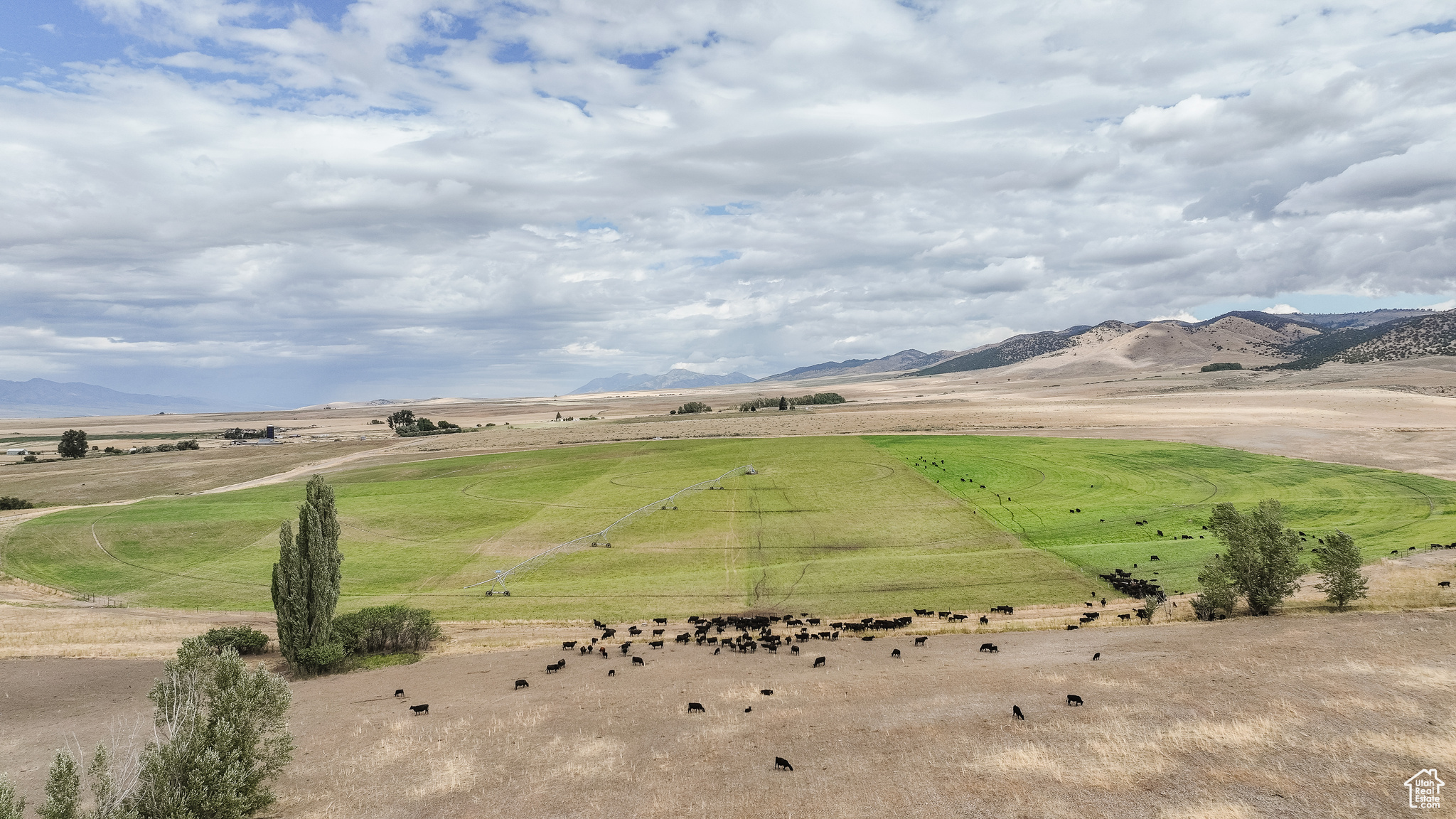 21506 S RACE TRACK, Downey, Idaho 83234, ,Farm,For sale,RACE TRACK,2019934