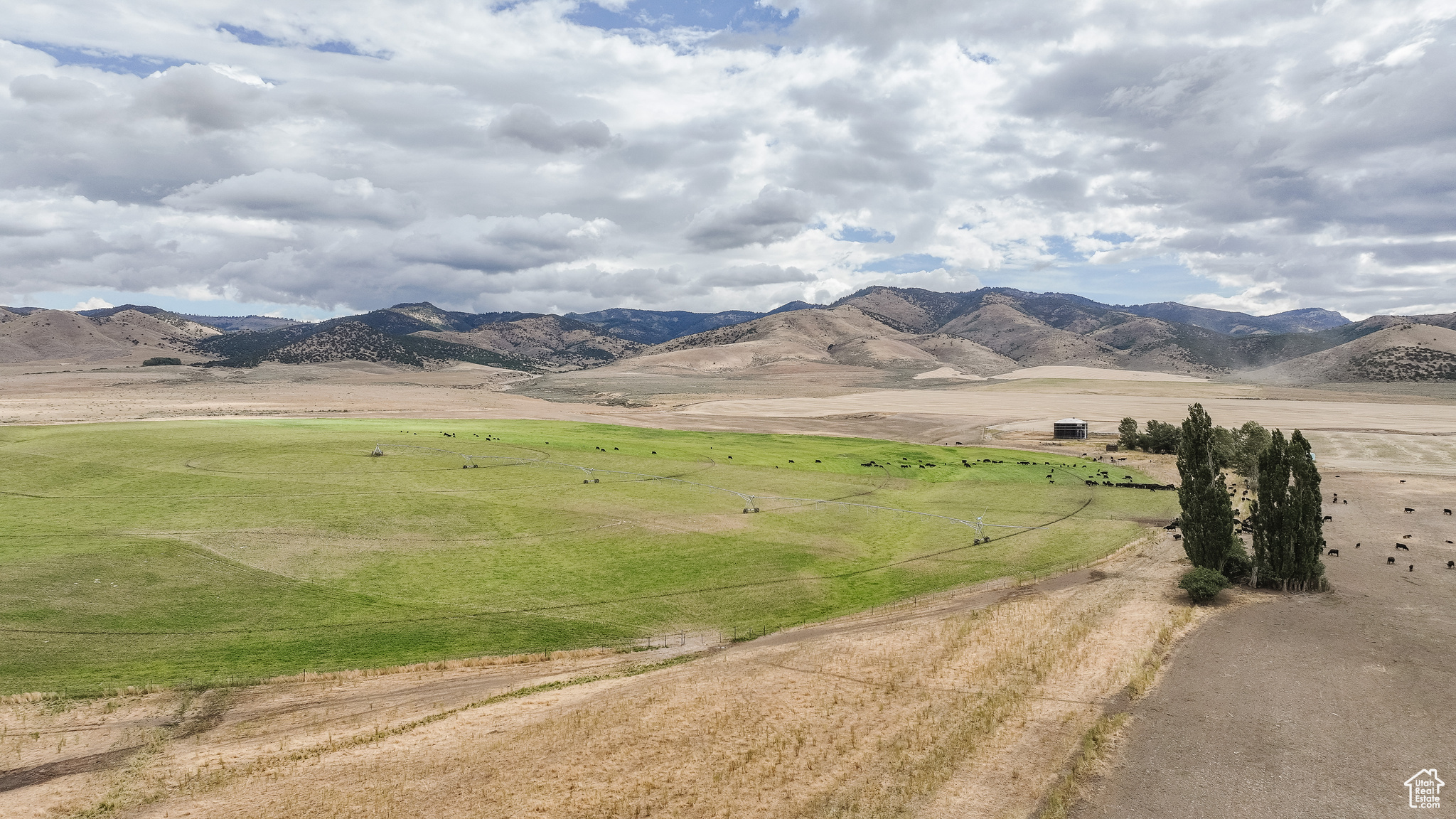 21506 S RACE TRACK, Downey, Idaho 83234, ,Farm,For sale,RACE TRACK,2019934