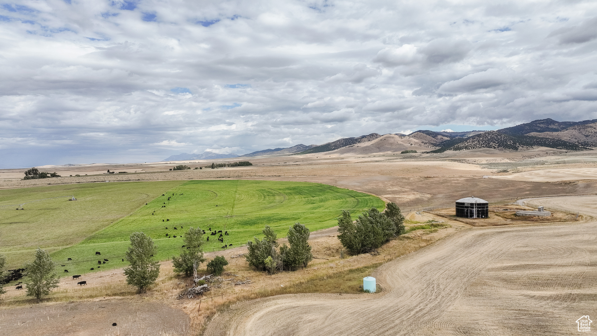 21506 S RACE TRACK, Downey, Idaho 83234, ,Farm,For sale,RACE TRACK,2019934