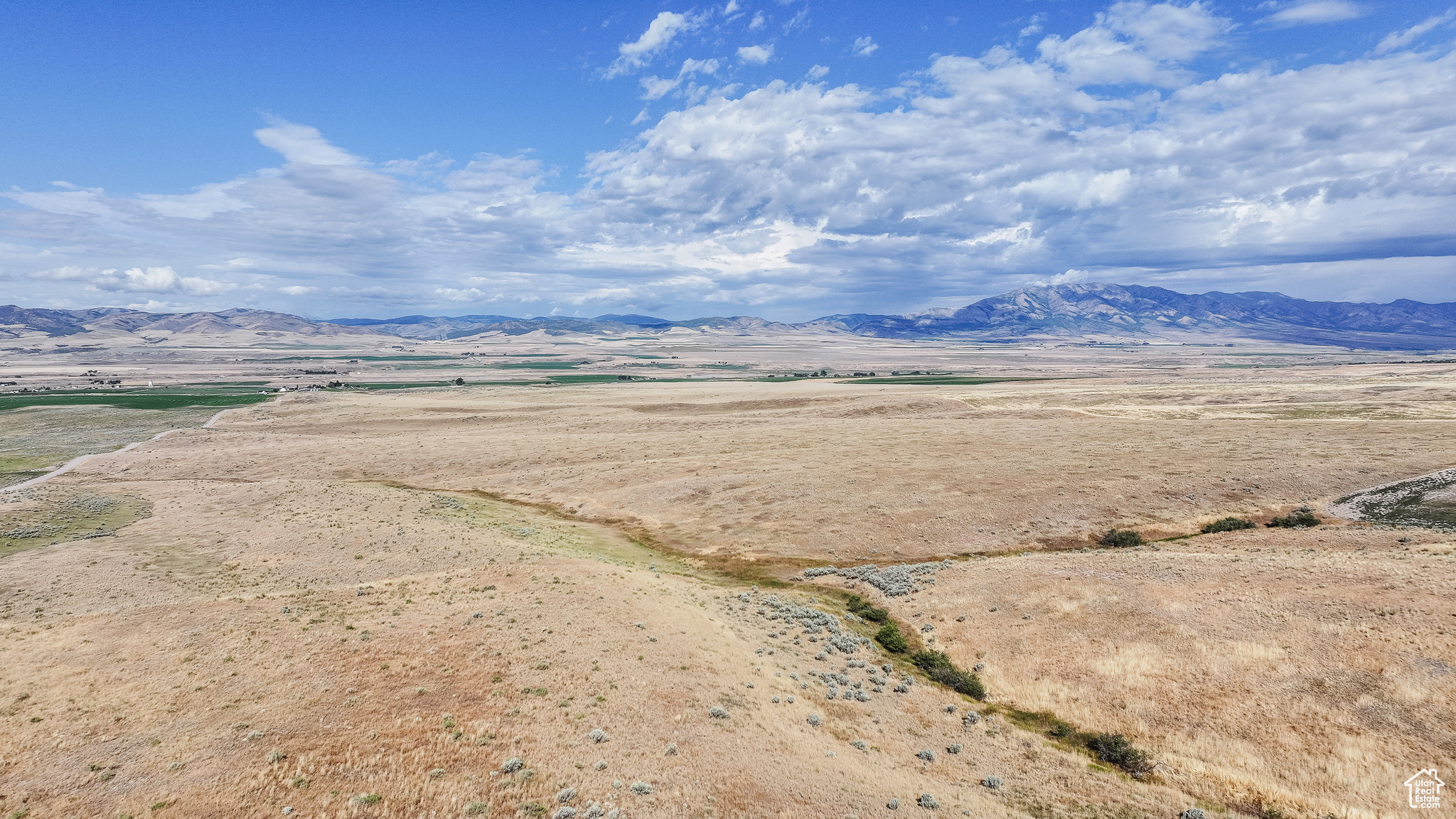 21506 S RACE TRACK, Downey, Idaho 83234, ,Farm,For sale,RACE TRACK,2019934