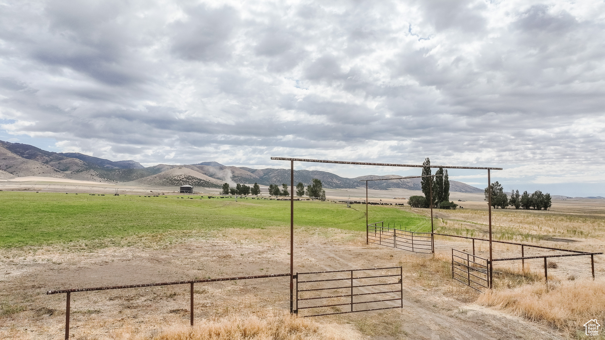 21506 S RACE TRACK, Downey, Idaho 83234, ,Farm,For sale,RACE TRACK,2019934