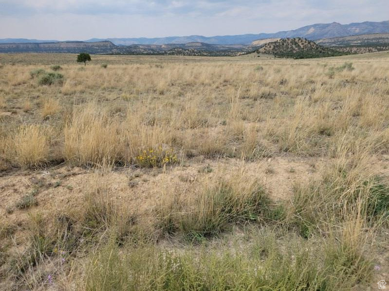 Price, Utah 84501, ,Land,For sale,2020033