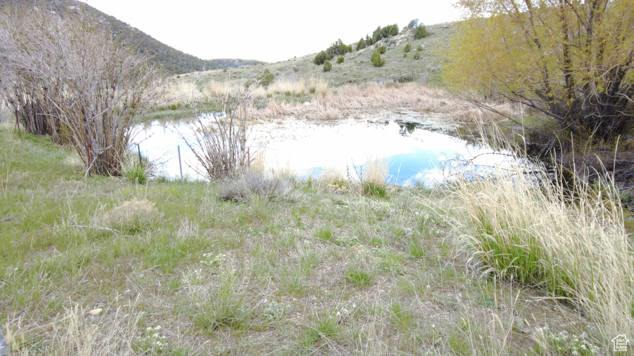 CLEAR SPRINGS, Park Valley, Utah 84329, ,Farm,For sale,CLEAR SPRINGS,2020553