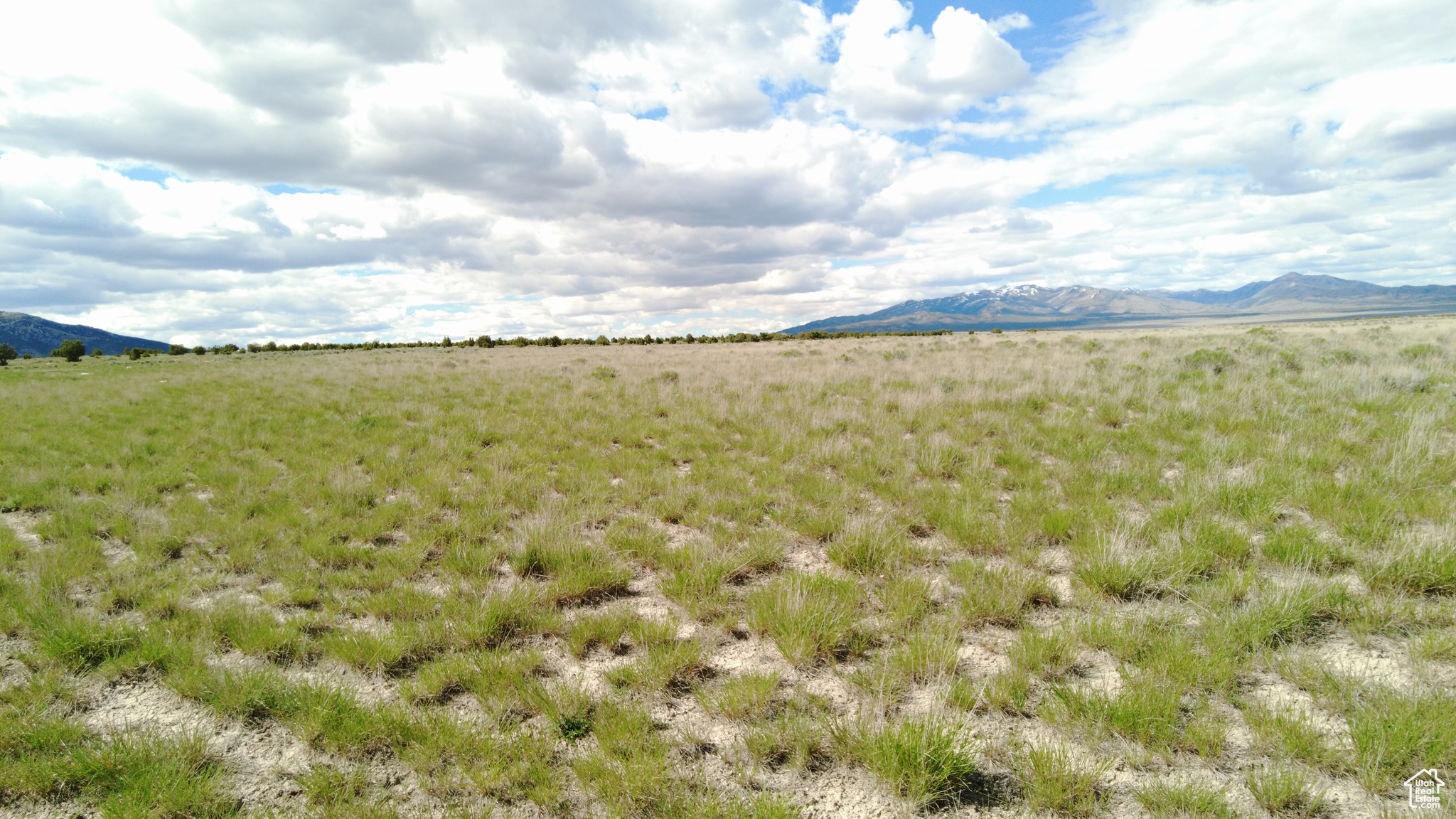 CLEAR SPRINGS, Park Valley, Utah 84329, ,Farm,For sale,CLEAR SPRINGS,2020553