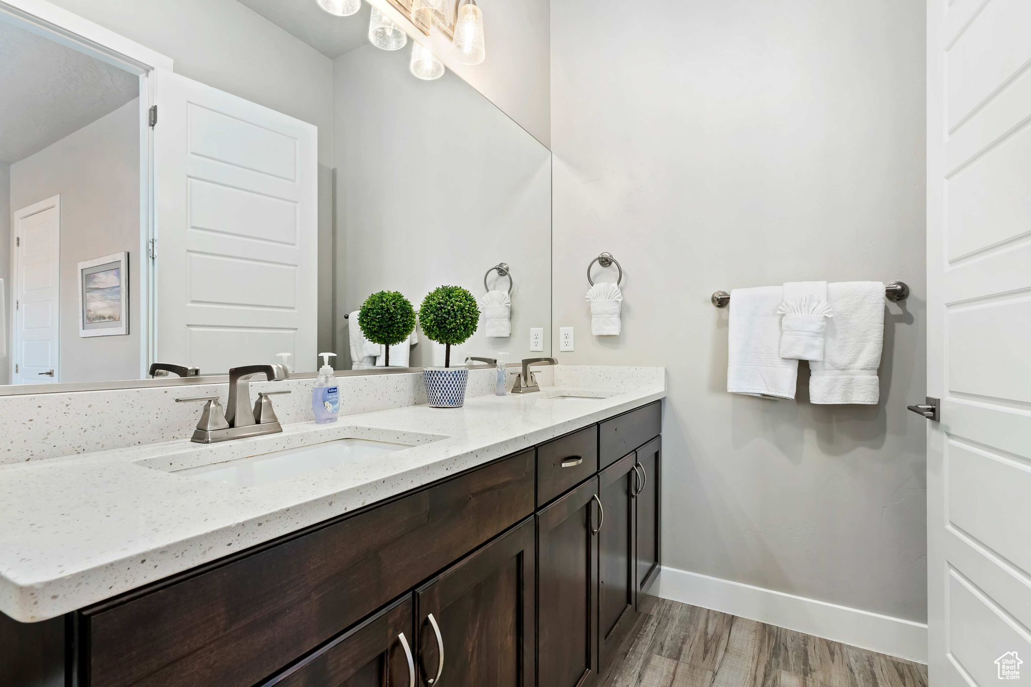 Bathroom with dual bowl vanity and wood-type flooring