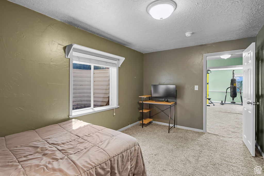 Bedroom featuring multiple windows, carpet, and a textured ceiling