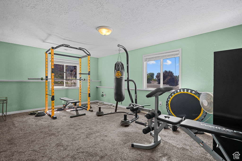 Workout room featuring a wealth of natural light, carpet flooring, and a textured ceiling