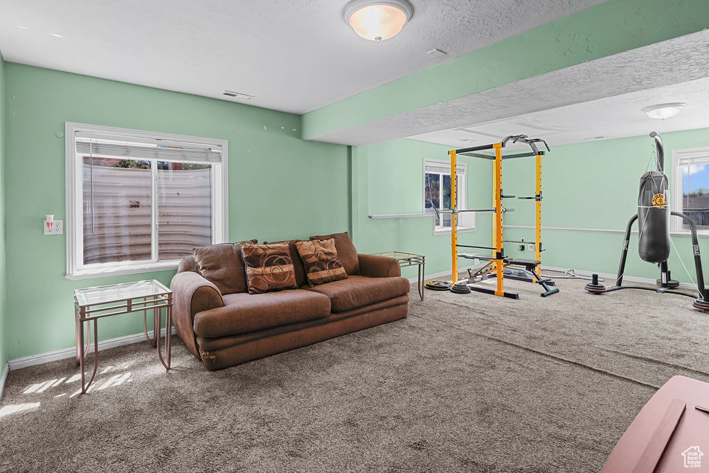 Carpeted living room with a textured ceiling