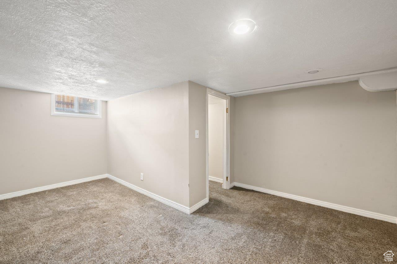 Basement featuring carpet and a textured ceiling