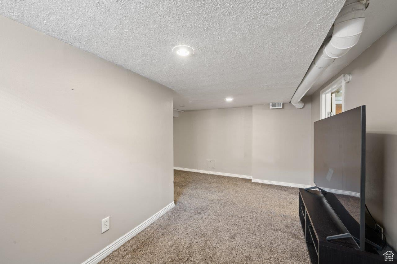 Basement featuring carpet floors and a textured ceiling