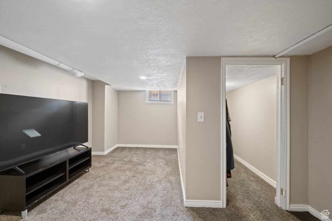 Basement with light carpet and a textured ceiling