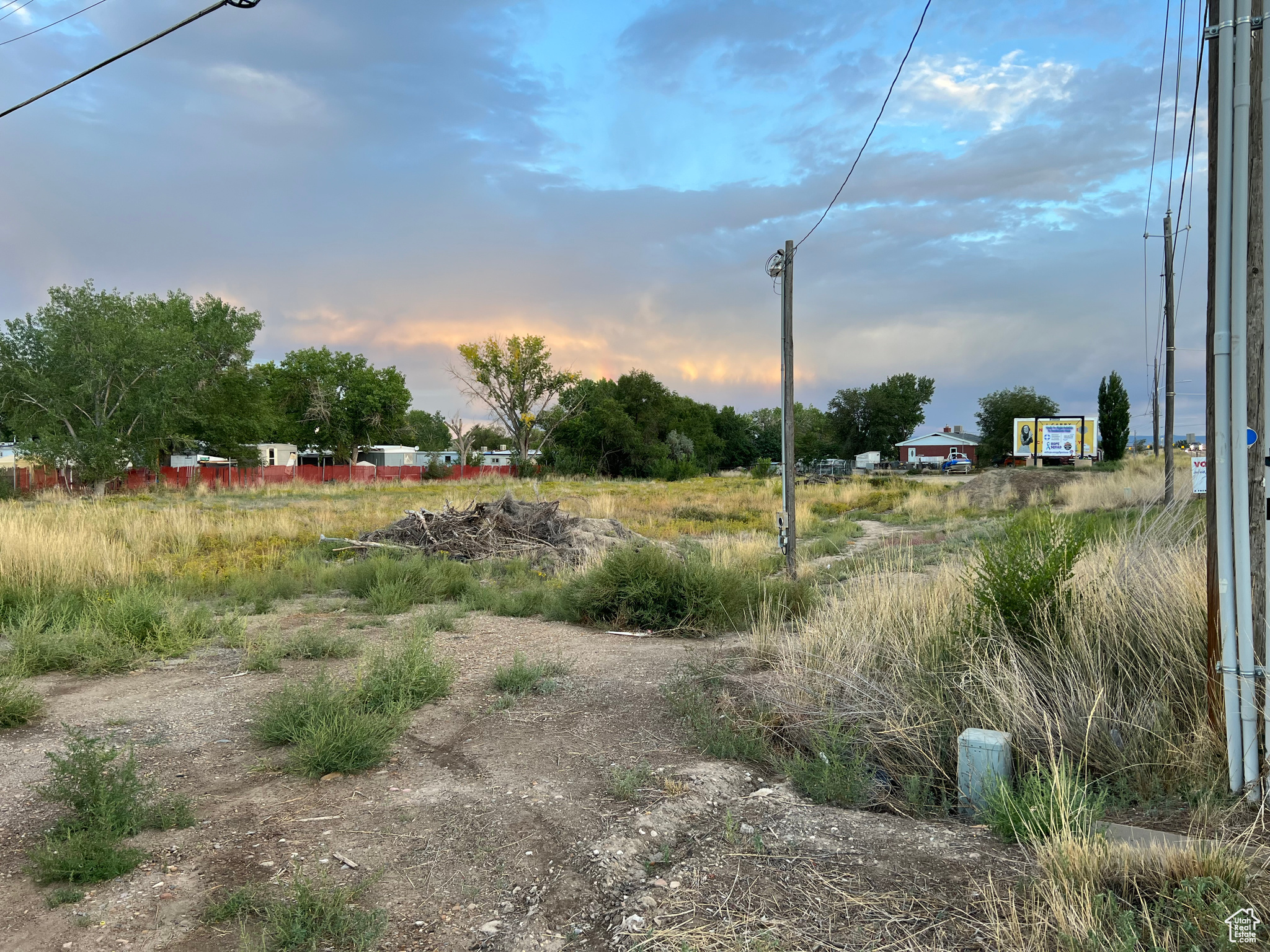 View of yard at dusk