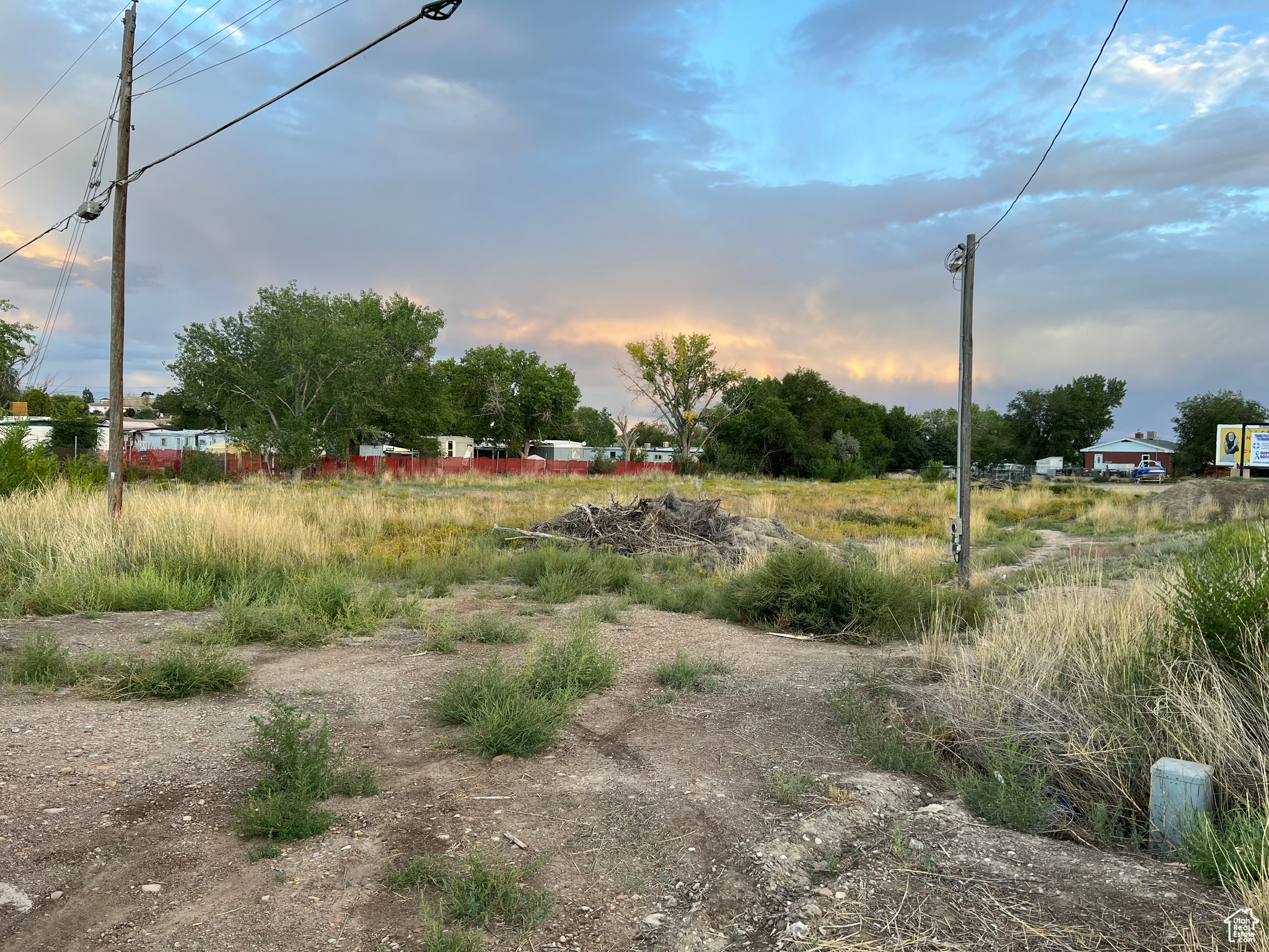 View of yard at dusk